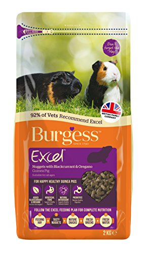 Excel Burgess Guinea Pig Nuggets Blackcurrant and Oregano, 2 kg (pack of 2)
