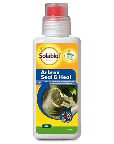 2 x Arbrex Seal & Heal, Yellow, 300g