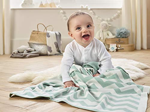 Clair de Lune Chevron Blanket - Mint